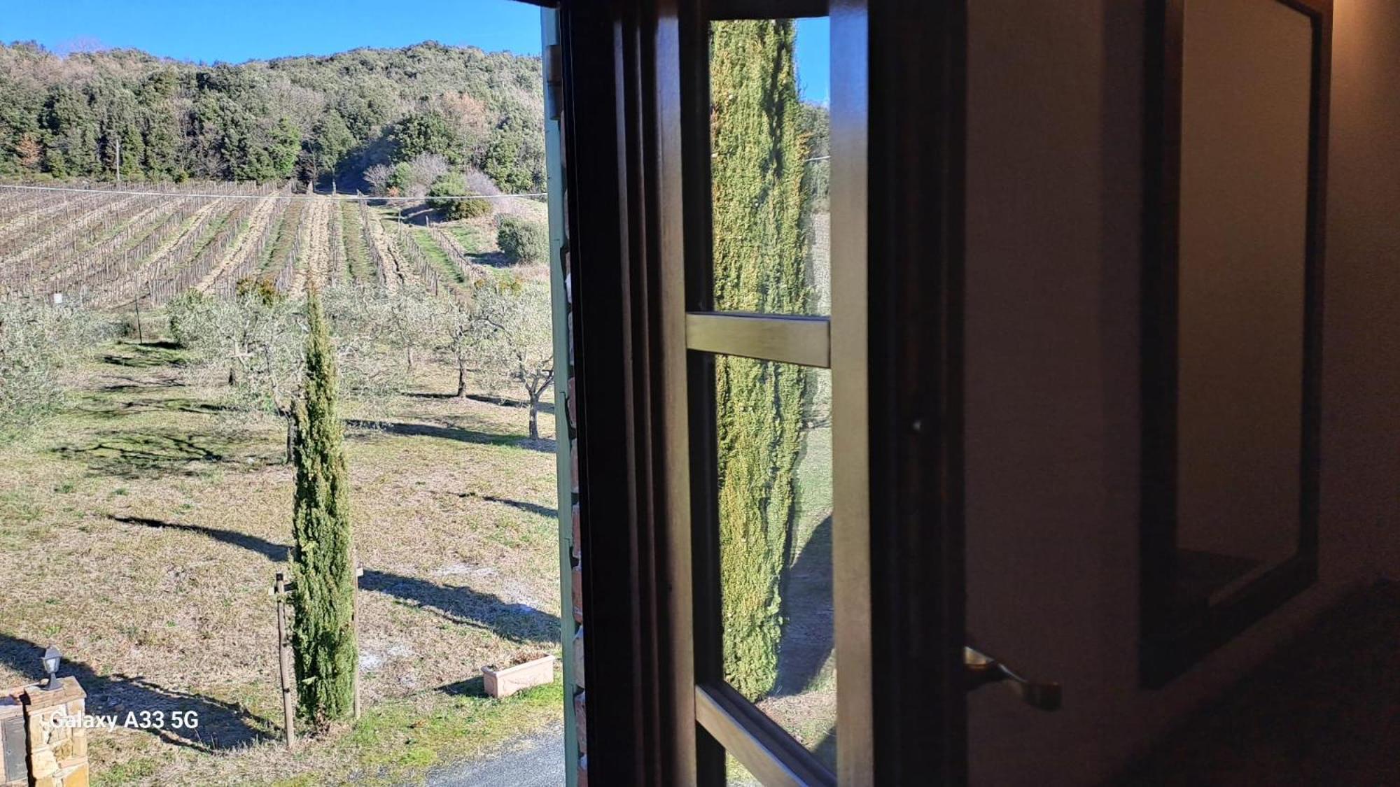 Podere Oliveta Montecatini Val di Cecina Eksteriør bilde