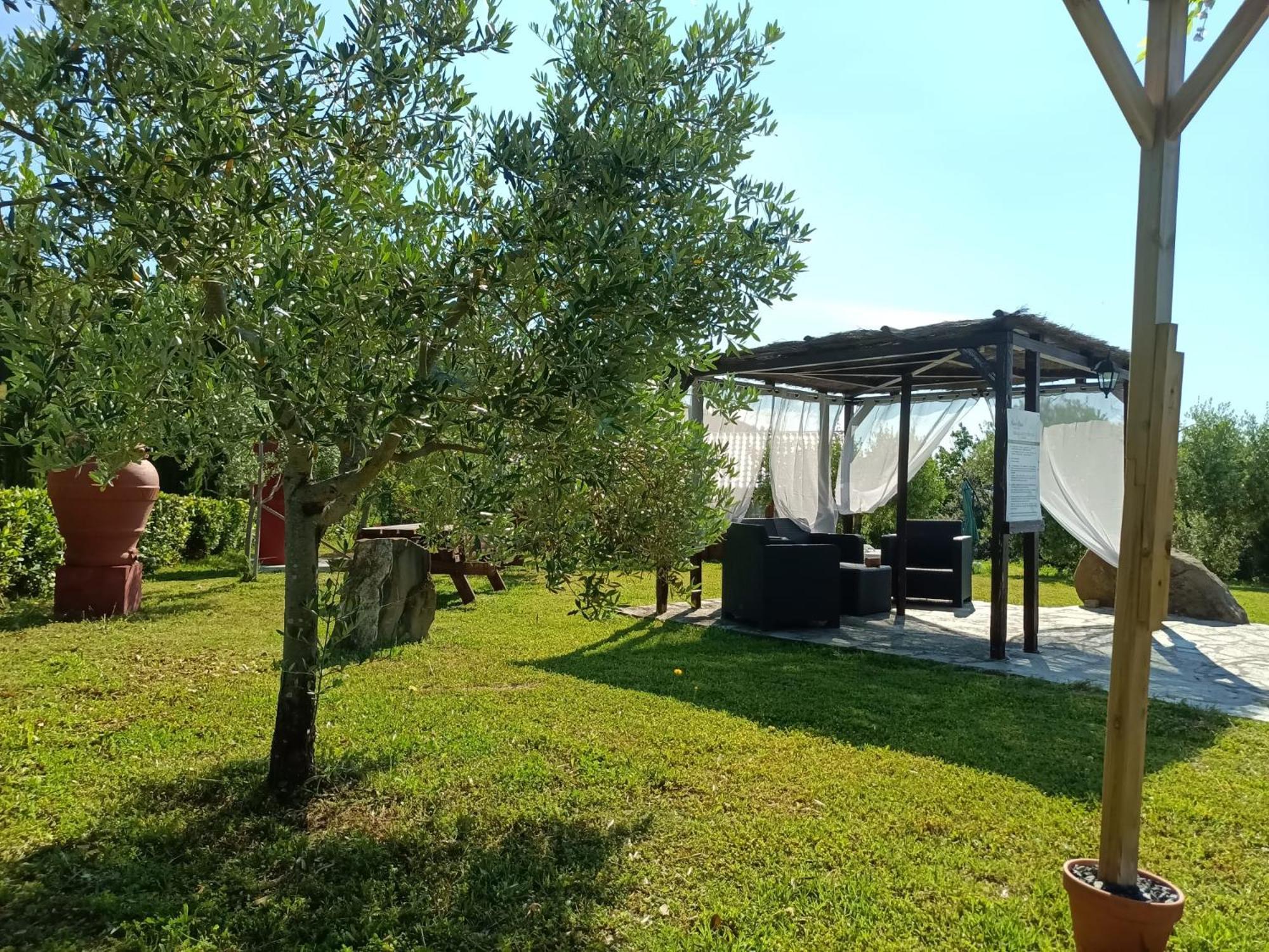 Podere Oliveta Montecatini Val di Cecina Eksteriør bilde
