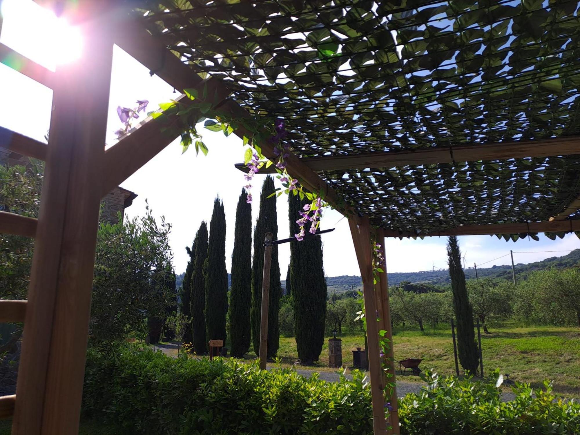 Podere Oliveta Montecatini Val di Cecina Eksteriør bilde