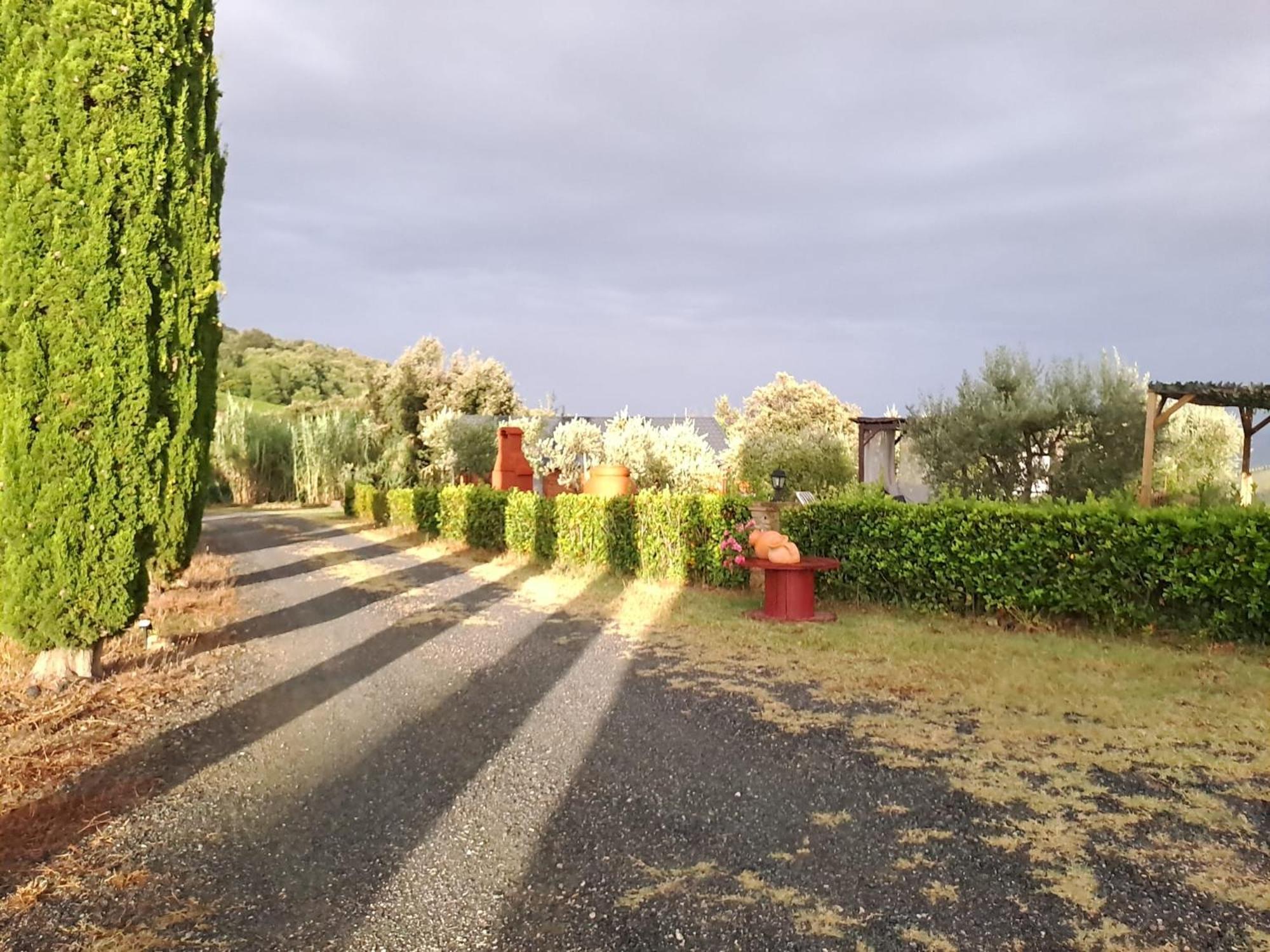 Podere Oliveta Montecatini Val di Cecina Eksteriør bilde